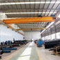 Double Girder Overhead Crane